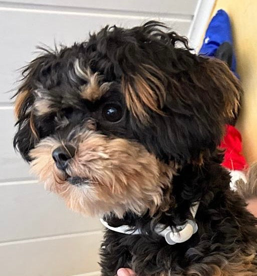 SQ Kette Bild Gravur