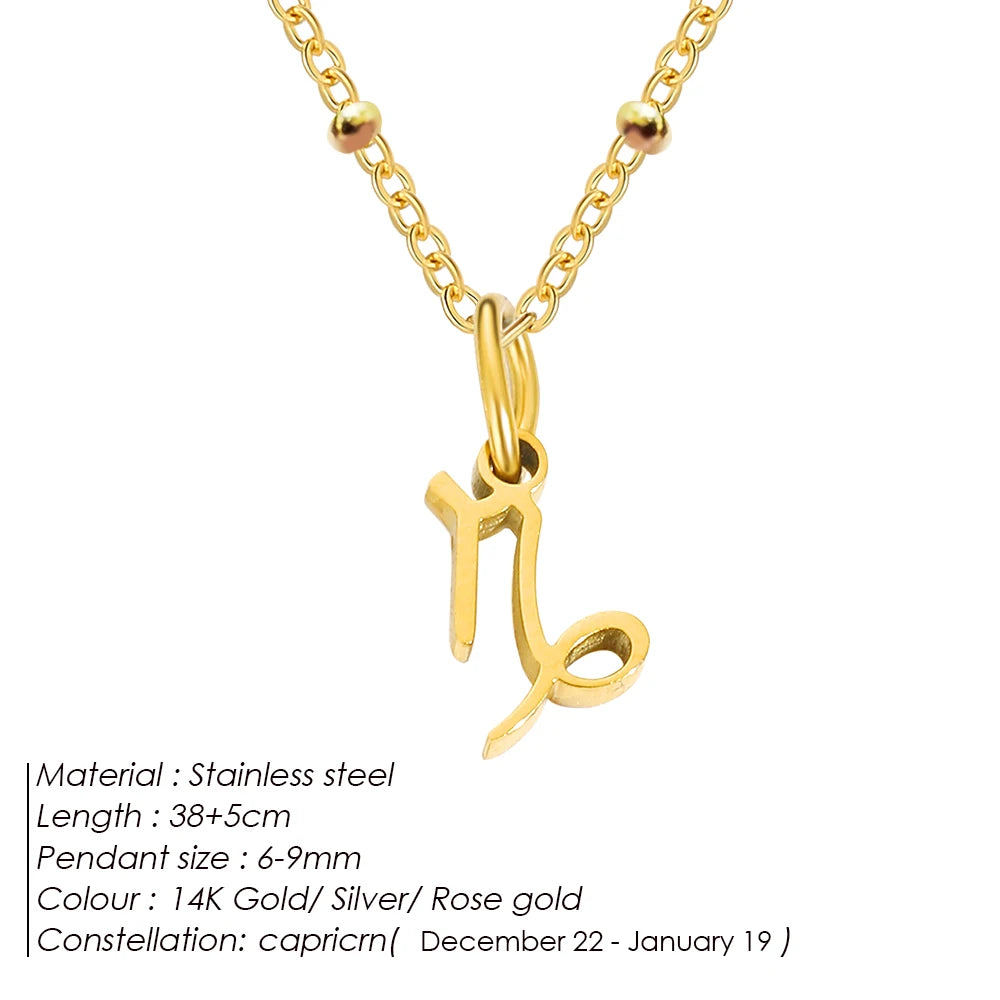 Delicate Zodiac Charm Kette