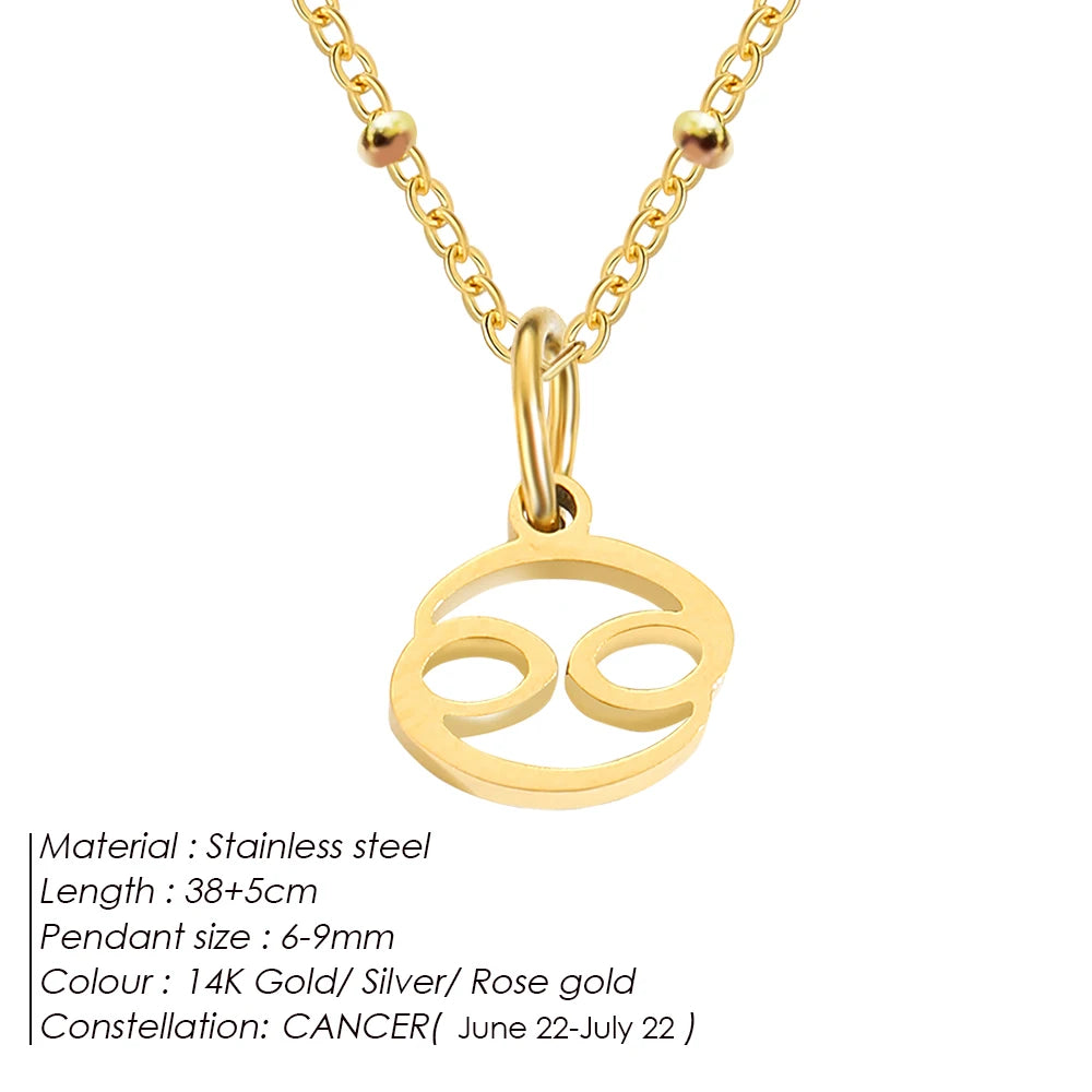 Delicate Zodiac Charm Kette