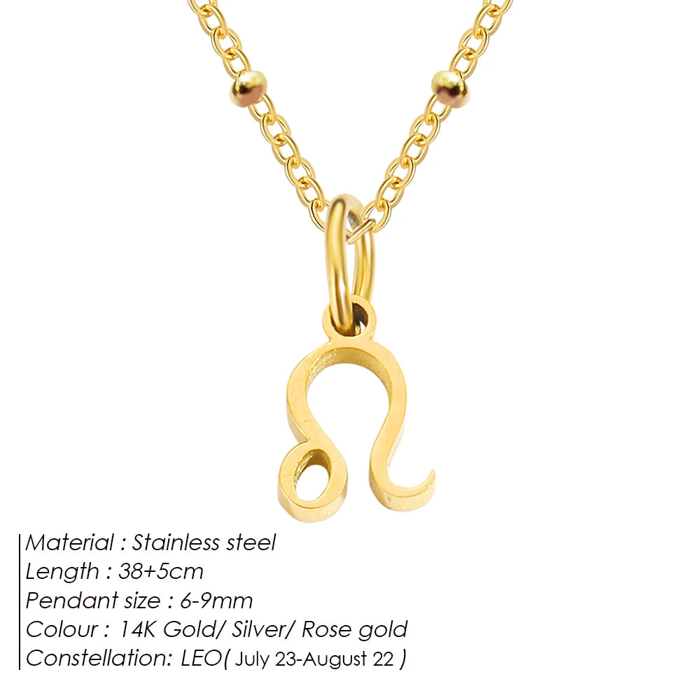 Delicate Zodiac Charm Kette