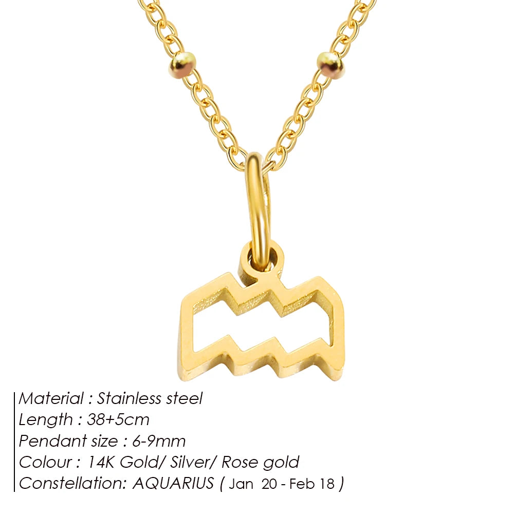 Delicate Zodiac Charm Kette