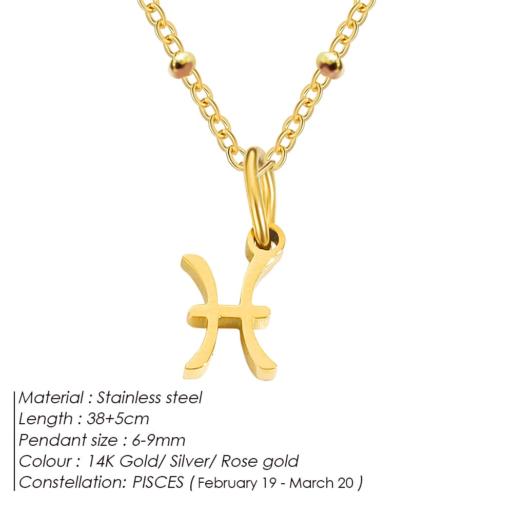 Delicate Zodiac Charm Kette