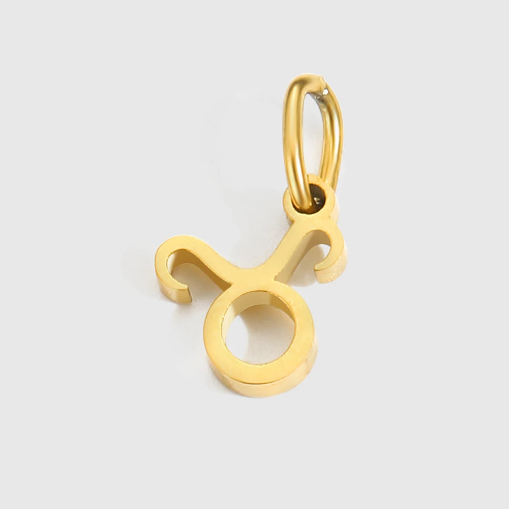 Zodiac Charm