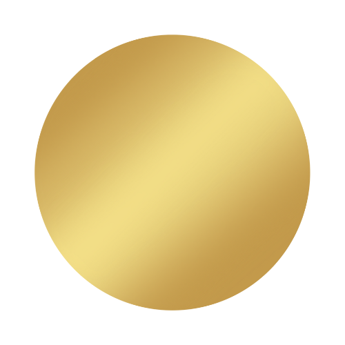 MEDI * CLASSIC * MAXI COIN Kette