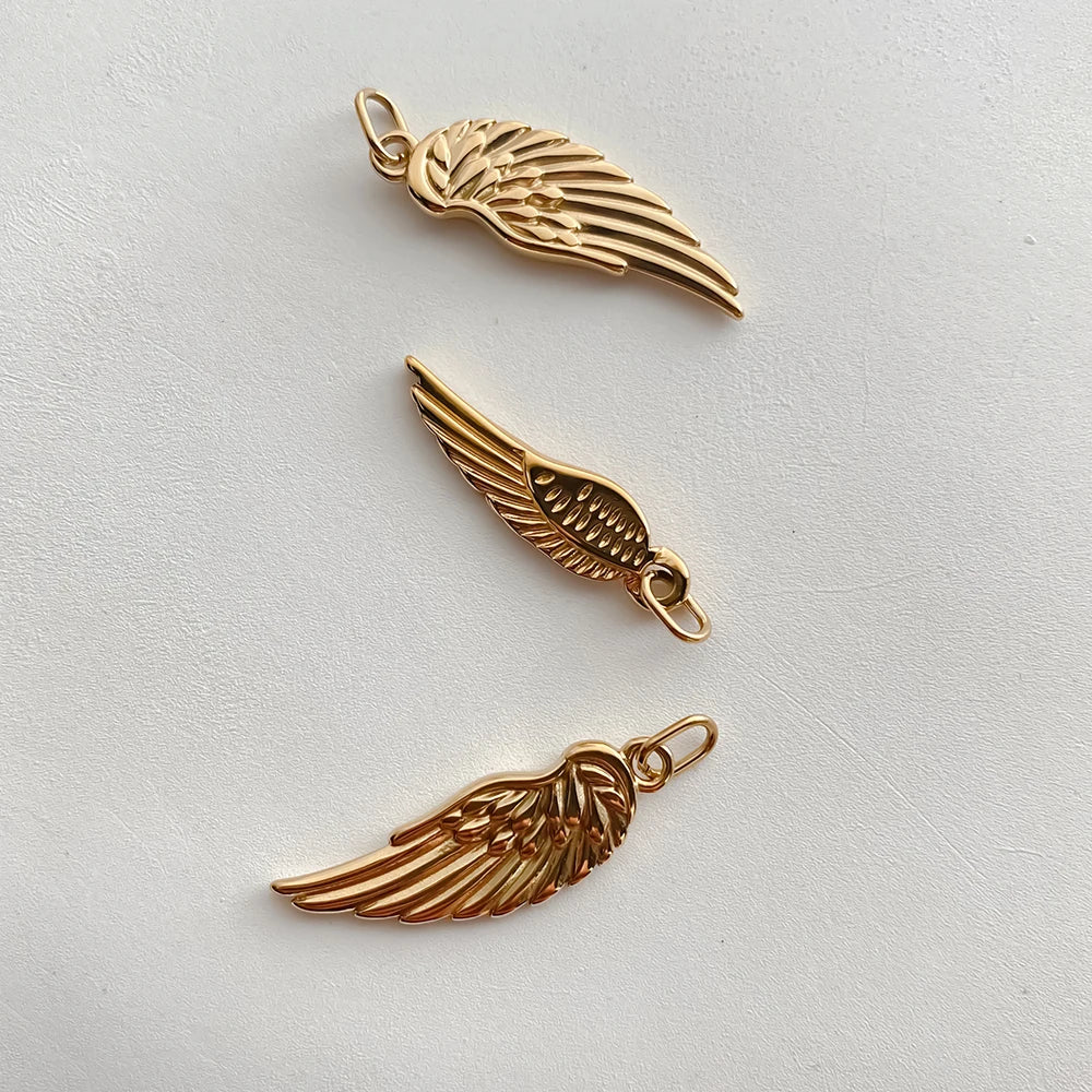 Wings Charms