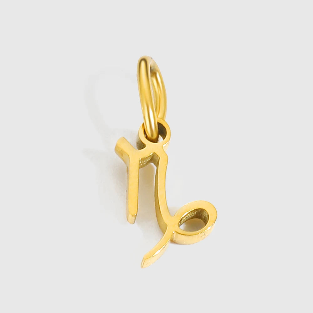 Zodiac Charm