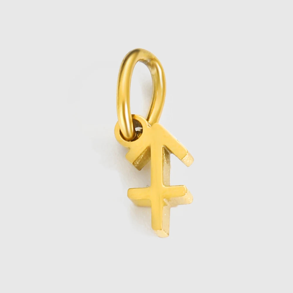 Zodiac Charm